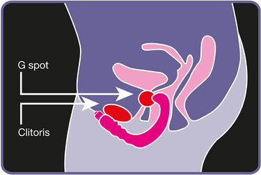 Rock Chick Vibrator by Rocks Off